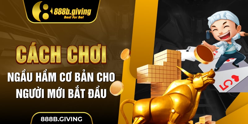 Cách chơi Ngầu Hầm cơ bản cho người mới bắt đầu
