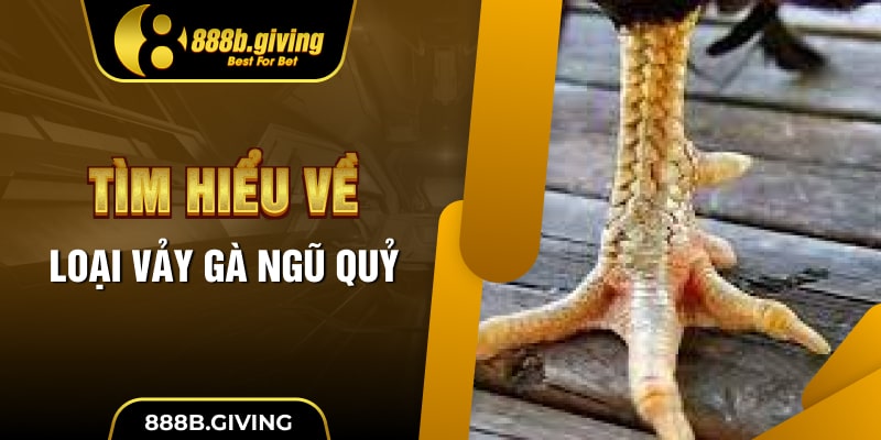 Tìm hiểu về loại Vảy Gà Ngũ Quỷ