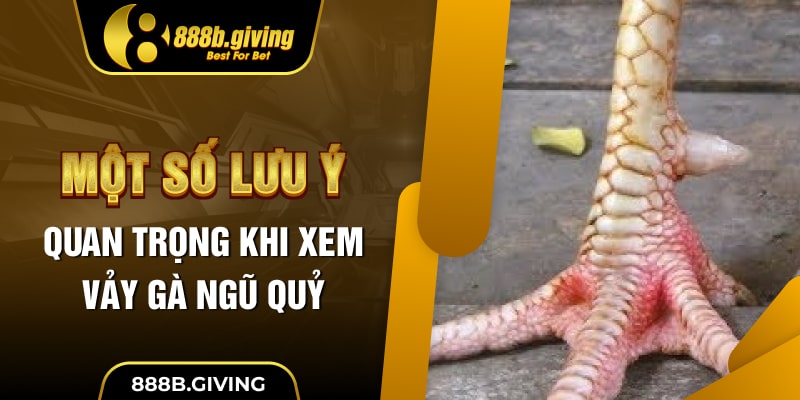 Một số lưu ý quan trọng khi xem Vảy Gà Ngũ Quỷ