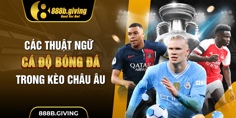 Các thuật ngữ cá độ bóng đá trong kèo Châu Âu