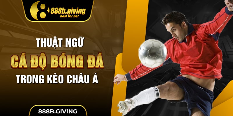 Thuật ngữ cá độ bóng đá trong kèo Châu Á