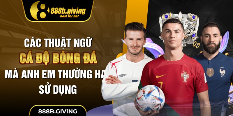 Các thuật ngữ cá độ bóng đá mà anh em thường hay sử dụng