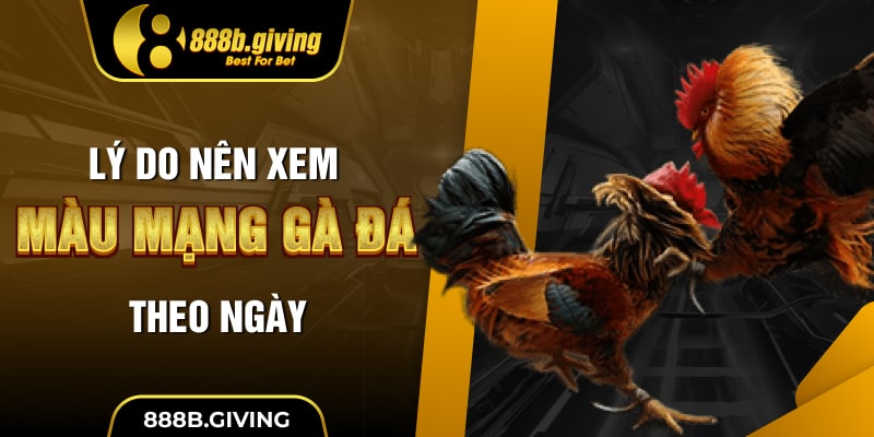 Lý do nên xem màu mạng gà đá theo ngày