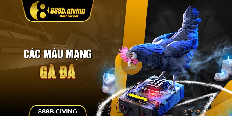 Các màu mạng gà đá