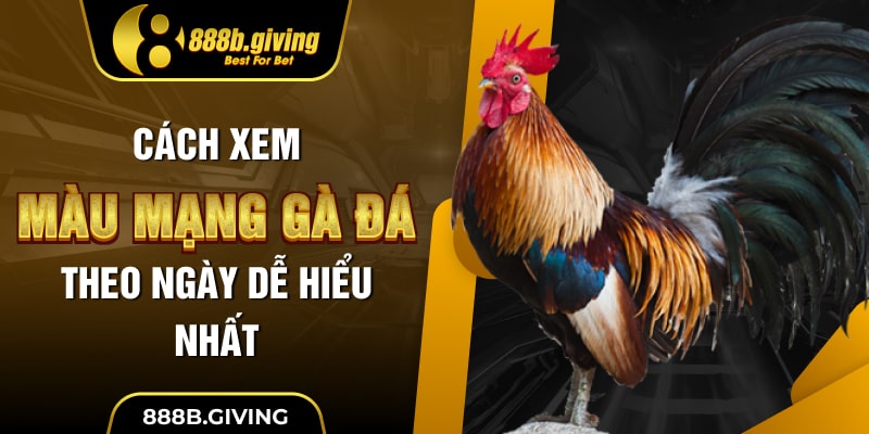 Cách xem màu mạng gà đá theo ngày dễ hiểu nhất