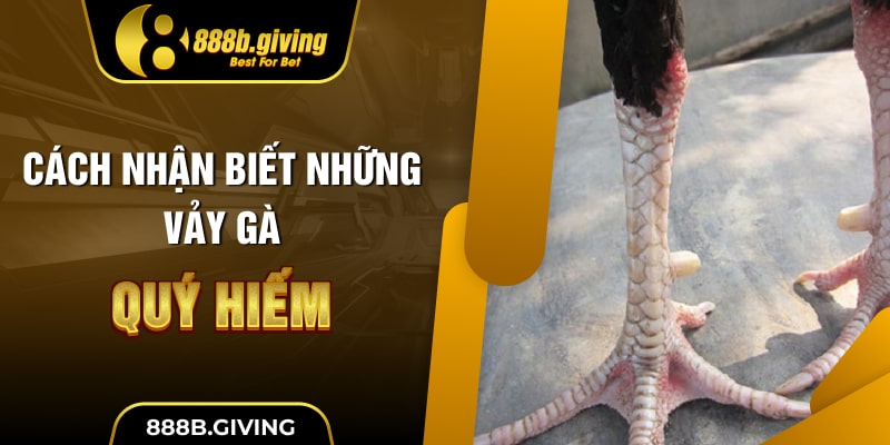 Cách nhận biết những vảy gà quý hiếm