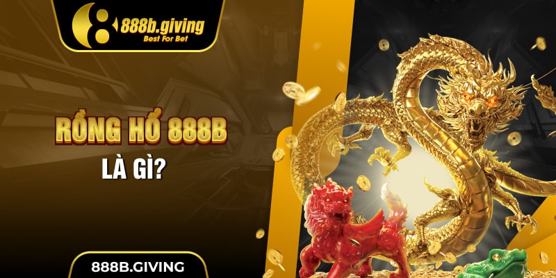 Rồng Hổ 888B là gì?