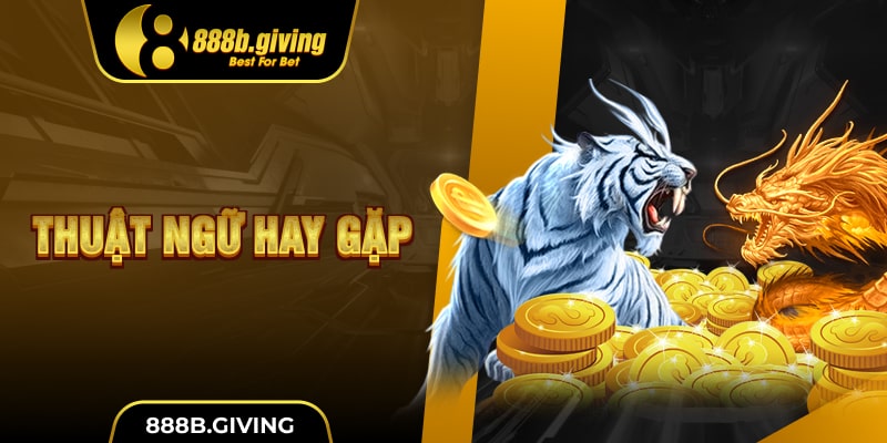 Thuật ngữ hay gặp