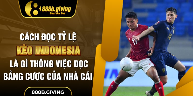 Cách đọc tỷ lệ kèo Indonesia là gì thông qua việc đọc bảng cược của nhà cái