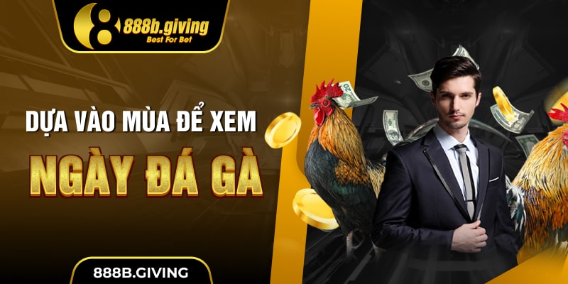 Dựa vào mùa để xem ngày đá gà