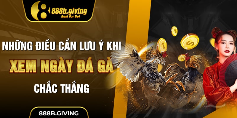 Những điều cần lưu ý khi xem ngày đá gà chắc thắng